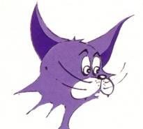Chat Mauve