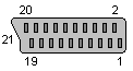 21 pin SCART female